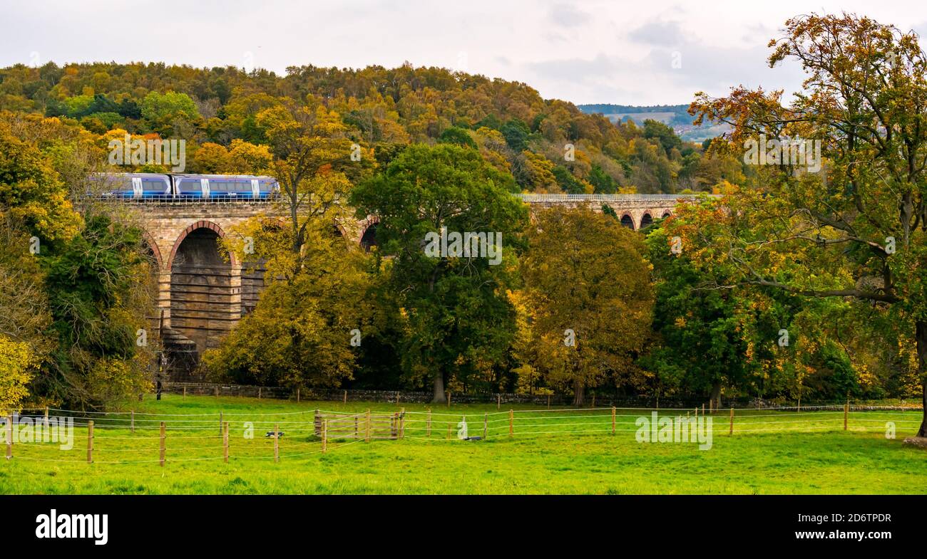 Lothianbridge o NewBattle Viadotto, Borders Railway, Midlothian, Scozia, Regno Unito, 19 ottobre 2020. UK Weather: Il colore autunnale illumina gli alberi nonostante una giornata nuvolosa al viadotto vittoriano, mentre un treno ScotRail viaggia attraverso di esso Foto Stock