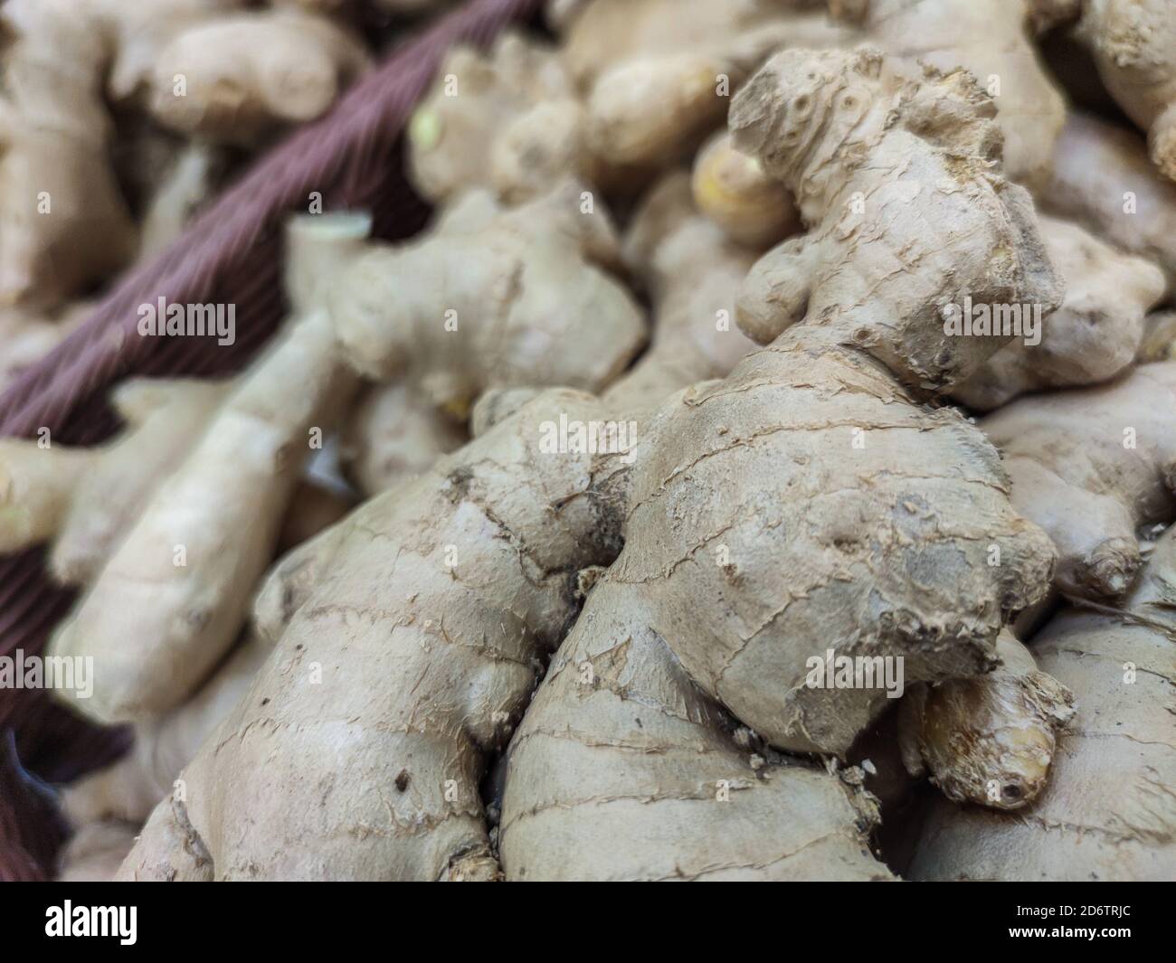 Focus selezionato su carciofi o topinambour del Gruppo di Gerusalemme venduti su un mercato Foto Stock