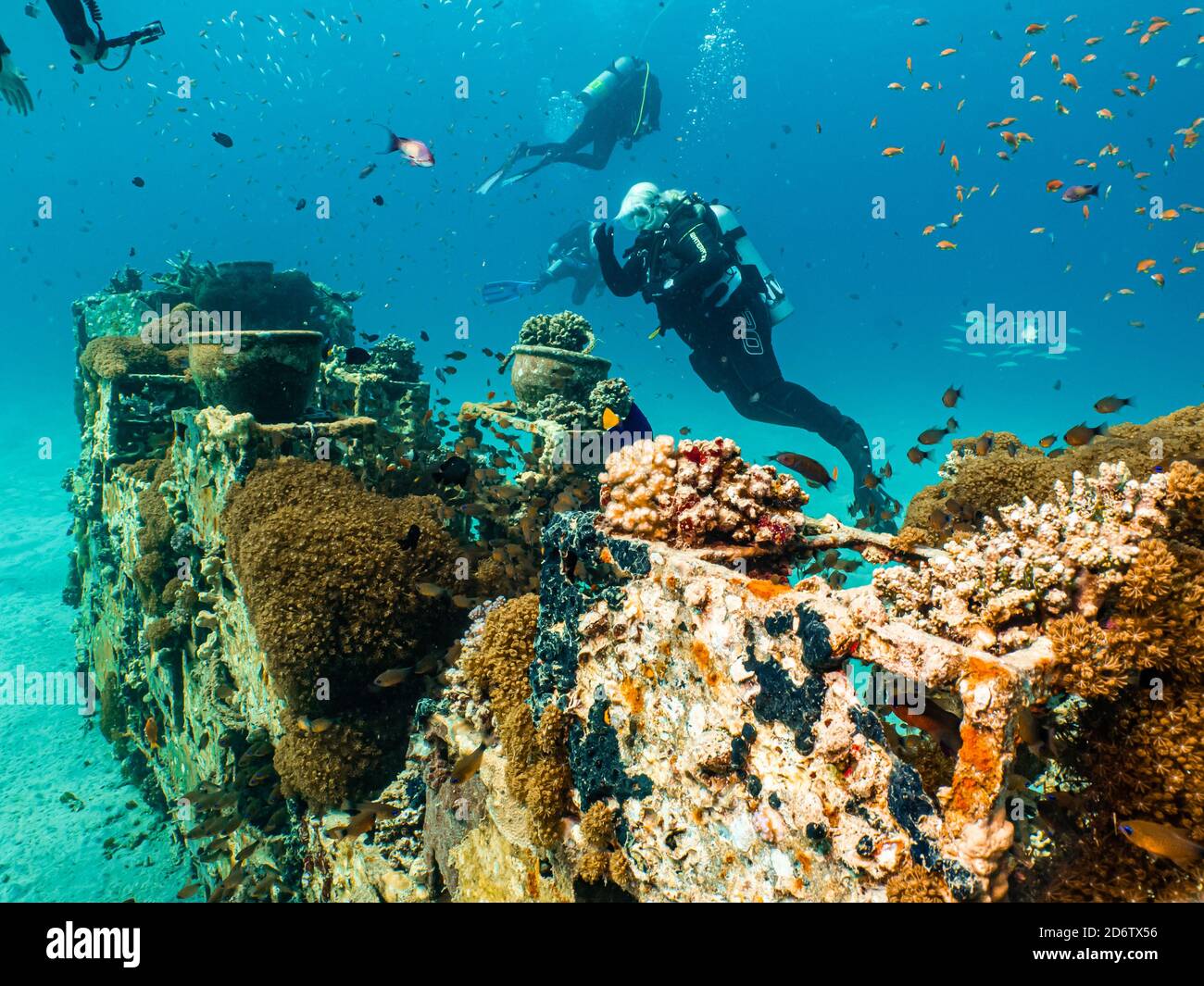 Una barriera corallina artificiale brulicante di pesci. Foto di una barriera corallina del Mar Rosso, Egitto Foto Stock
