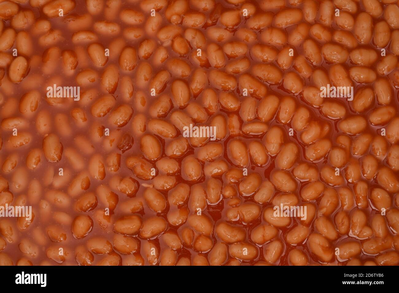 I fagioli cotti si avvicinano alla salsa di pomodoro Foto Stock
