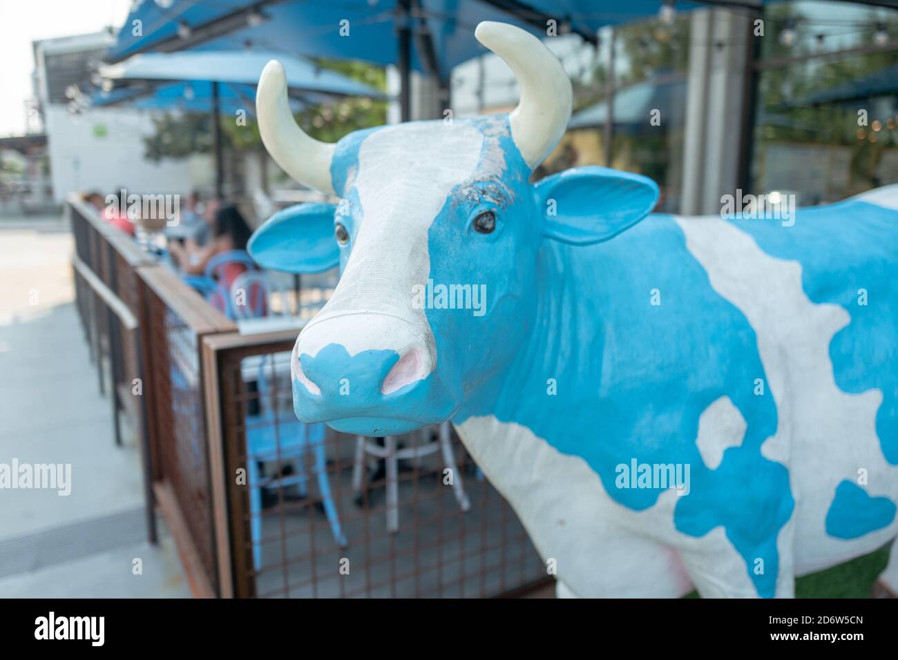 Il motivo della mucca è visibile al ristorante Mendocino Farms, Sacramento, California, 20 settembre 2020. () Foto Stock