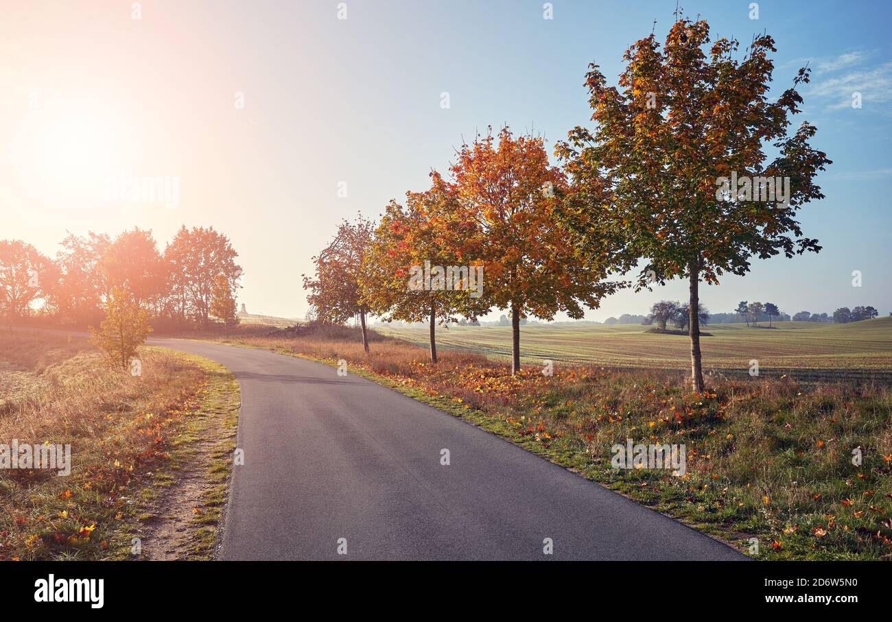 Strada panoramica asfaltata di campagna al tramonto. Foto Stock