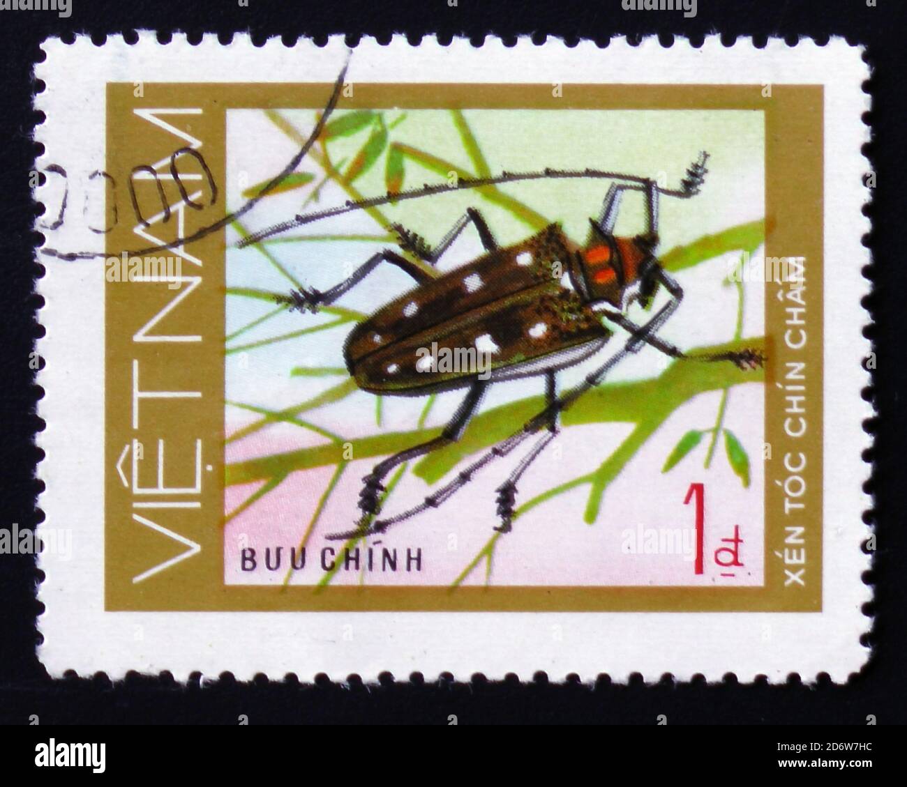 MOSCA, RUSSIA - 12 FEBBRAIO 2017: Un francobollo stampato in VIETNAM, mostra insetto animale lungo corno scarabeo, Xin toc Chin cham, circa 1981 Foto Stock