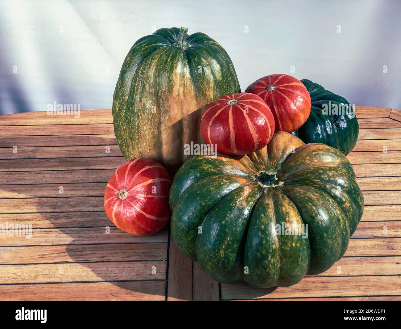Vendemmia, prepari per Halloween. Grandi zucche verdi e arancioni di autunno, circondate da sfondo di legno. Illustrazione stilizzata con foto Foto Stock