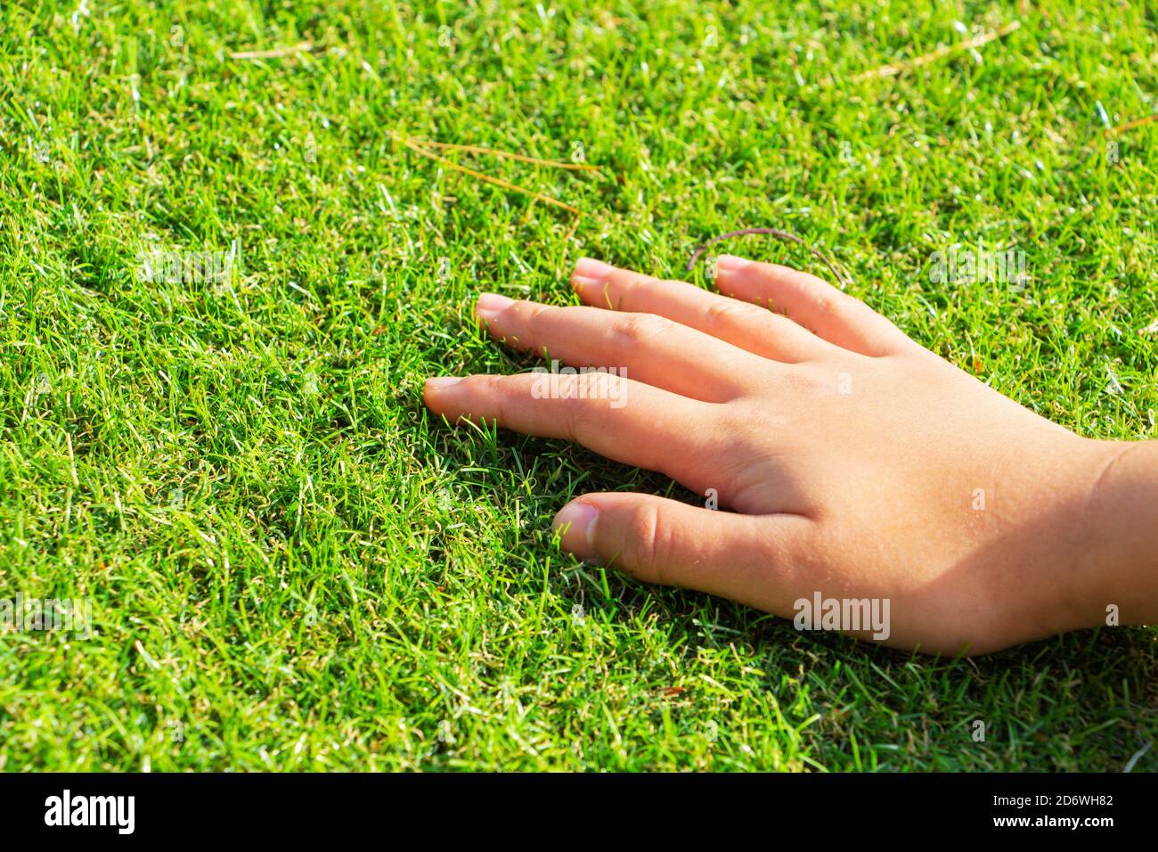 la mano della donna che tocca l'erba. erba artificiale non è erba reale. Foto Stock