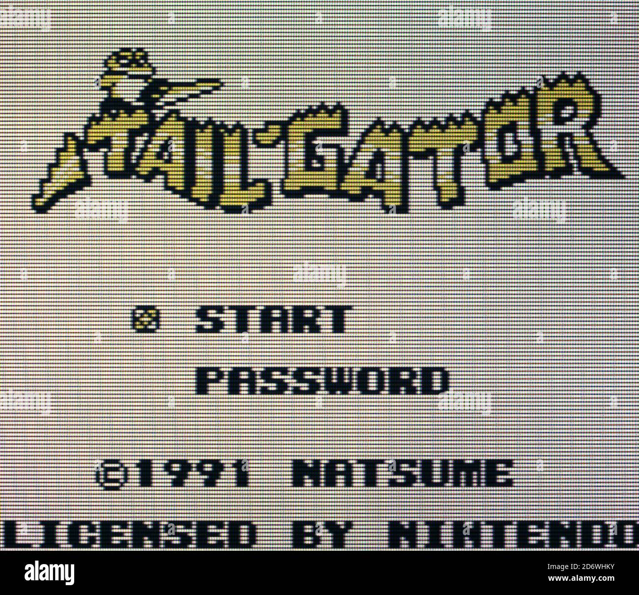 Tail Gator - Nintendo Gameboy Videogame - solo per uso editoriale Foto Stock