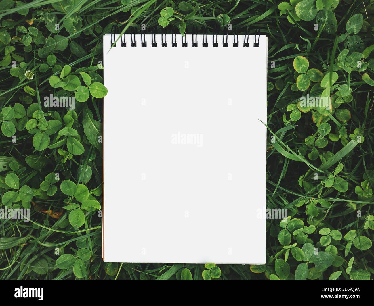 Pagina vuota del notebook che giace su un trifoglio Foto Stock