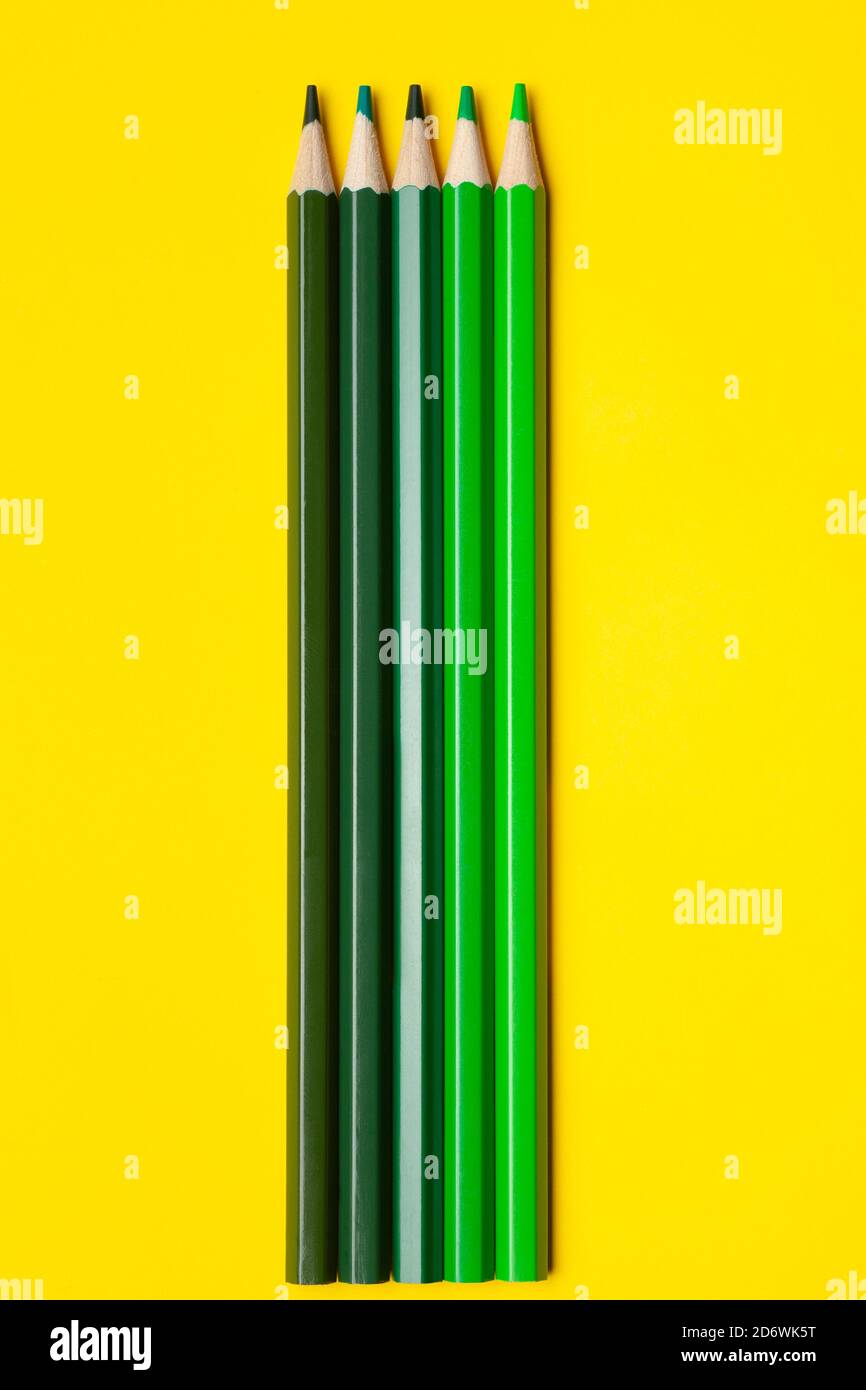 matite verticali verdi in legno affilato su sfondo giallo brillante, isolate, spazio copia, mock-up Foto Stock