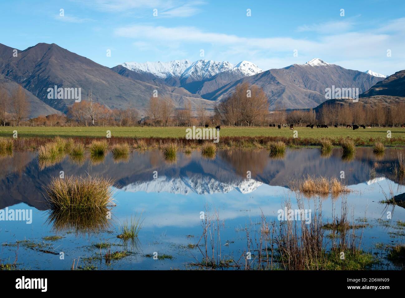 Montagne innevate che si riflettono in un piccolo lago vicino a Wanaka, Otago centrale, Isola del Sud, Nuova Zelanda Foto Stock Montagne innevate che si riflettono in un piccolo lago vicino a Wanaka, Otago centrale, Isola del Sud, Nuova Zelanda Foto Stock