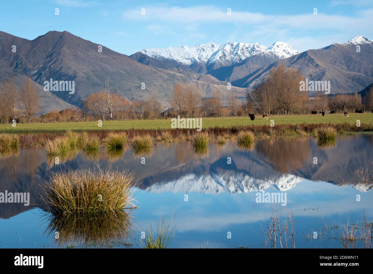 Montagne innevate che si riflettono in un piccolo lago vicino a Wanaka, Otago centrale, Isola del Sud, Nuova Zelanda Foto Stock Montagne innevate che si riflettono in un piccolo lago vicino a Wanaka, Otago centrale, Isola del Sud, Nuova Zelanda Foto Stock