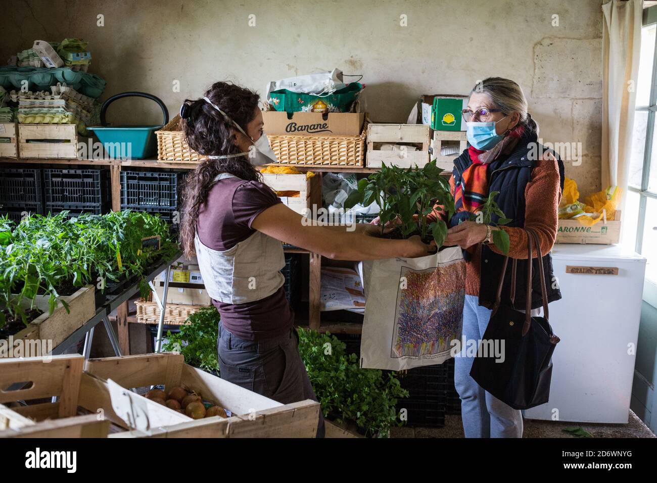 Vendita di cibo biologico in azienda durante l'epidemia di 2019-nCoV, Dordogna, Francia. Foto Stock