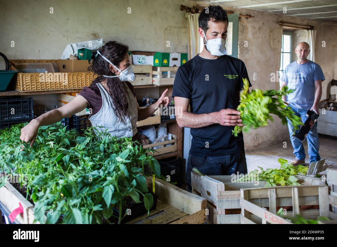 Vendita di cibo biologico in azienda durante l'epidemia di 2019-nCoV, Dordogna, Francia. Foto Stock