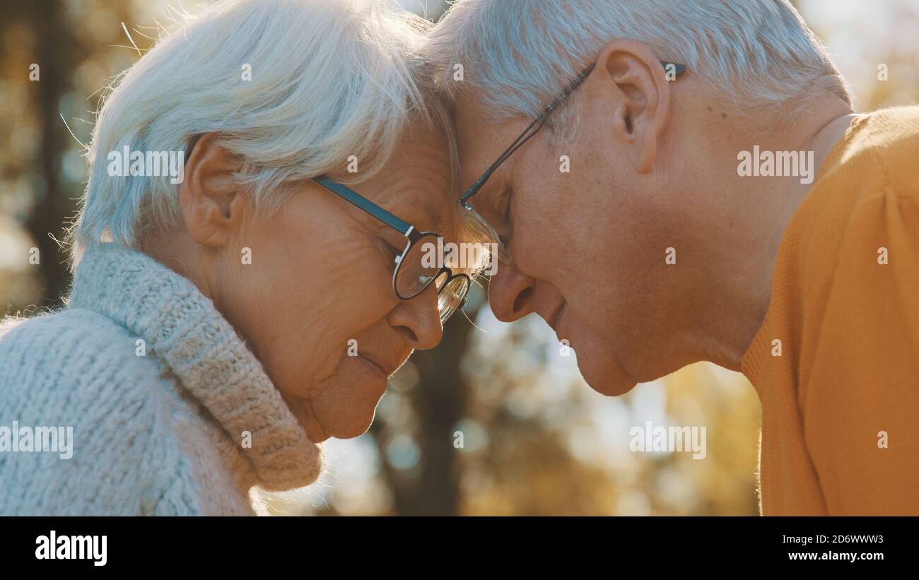 Amore e affetto alla vecchiaia. Coppia in pensione godendo di un giorno d'autunno nella foresta. Foto di alta qualità Foto Stock