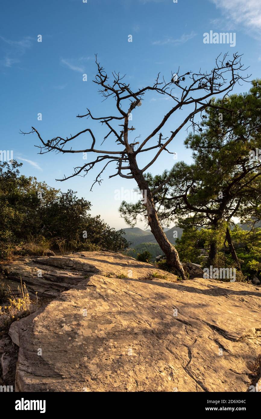 Splendido paesaggio montano spagnolo con luce soffusa Foto Stock