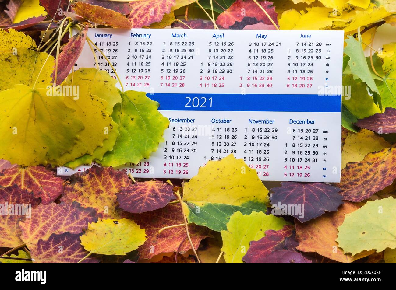 foglie d'autunno rosse e gialle e calendario 2021, calendario 2021 in foglie d'autunno Foto Stock