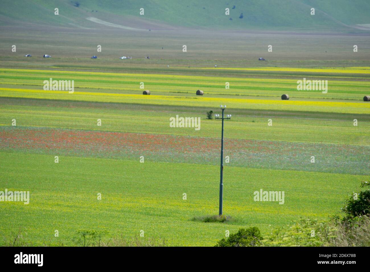 Campi coltivati e fioriti dei piani carsici di Castelluccio con Sibillini montagne sullo sfondo Foto Stock