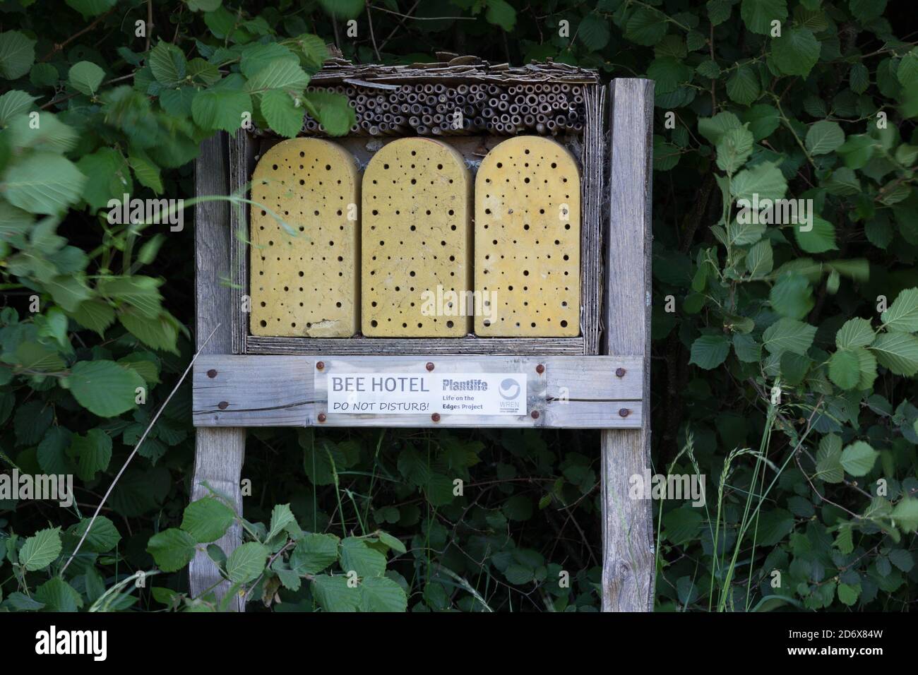 Bee Hotel visto aperto per affari durante la pandemia di covid, campagna inglese, Regno Unito Foto Stock