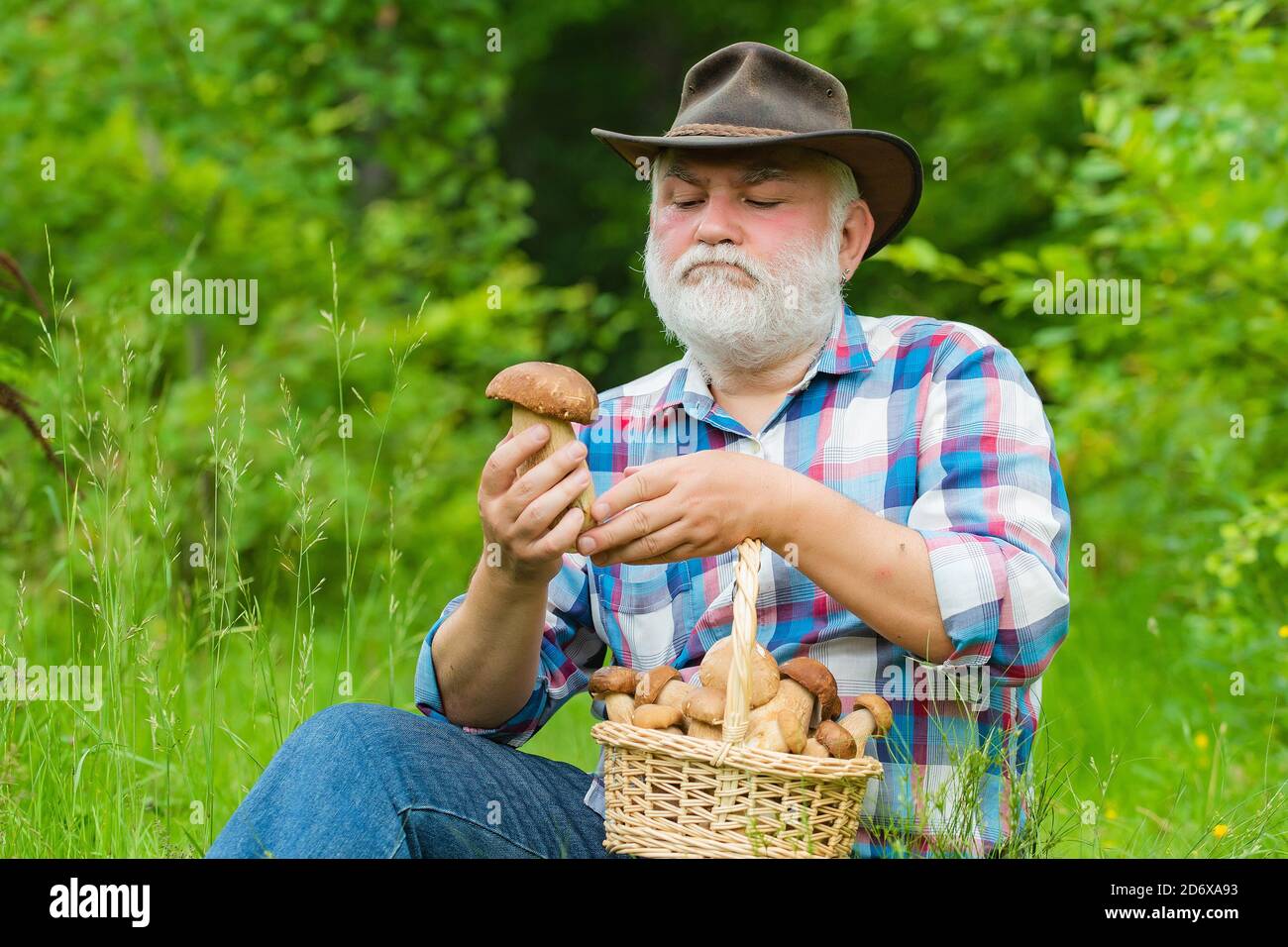 Nonno con funghi a caccia di busket. Pensionato con cesto di funghi e un'espressione facciale sorpresa. Foto Stock