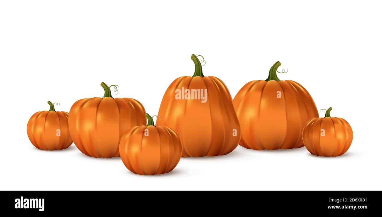 Set di zucche arancio di Halloween. Isolato cibo realistico tradizionale. Ottobre decorazione vacanza illustrazione vettoriale. Autunno spooky decor per divertimento e. Illustrazione Vettoriale