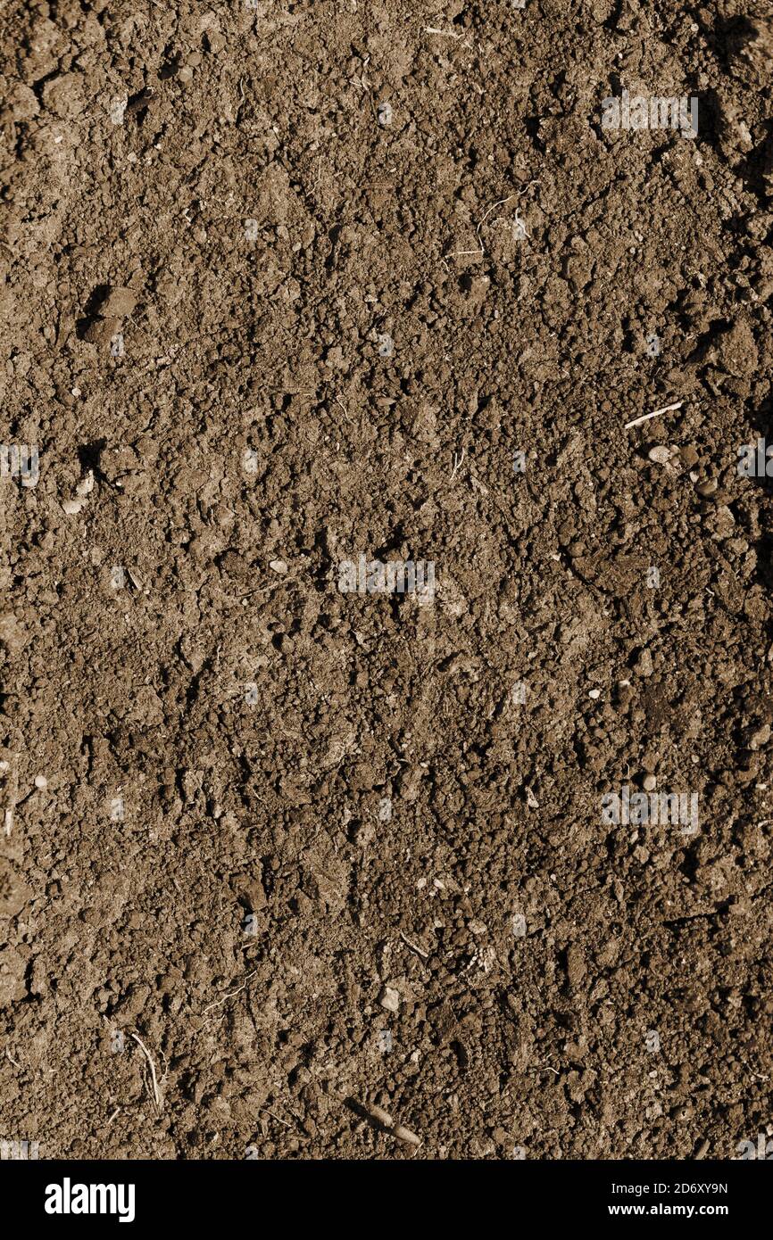 Texture di terra. Vista dall'alto della superficie scura del terreno. Sfondo terrestre con spazio di copia. Foto Stock