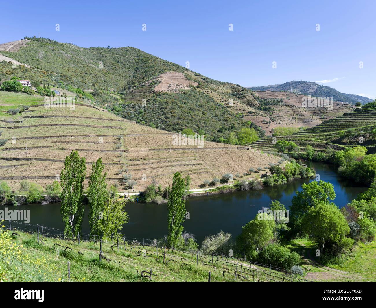 Bocca di Rio Tedo nel fiume Douro. La valle del fiume Douro. E' la zona vinicola Alto Douro, dichiarata Patrimonio Mondiale dell'UNESCO. L'Europa, così Foto Stock