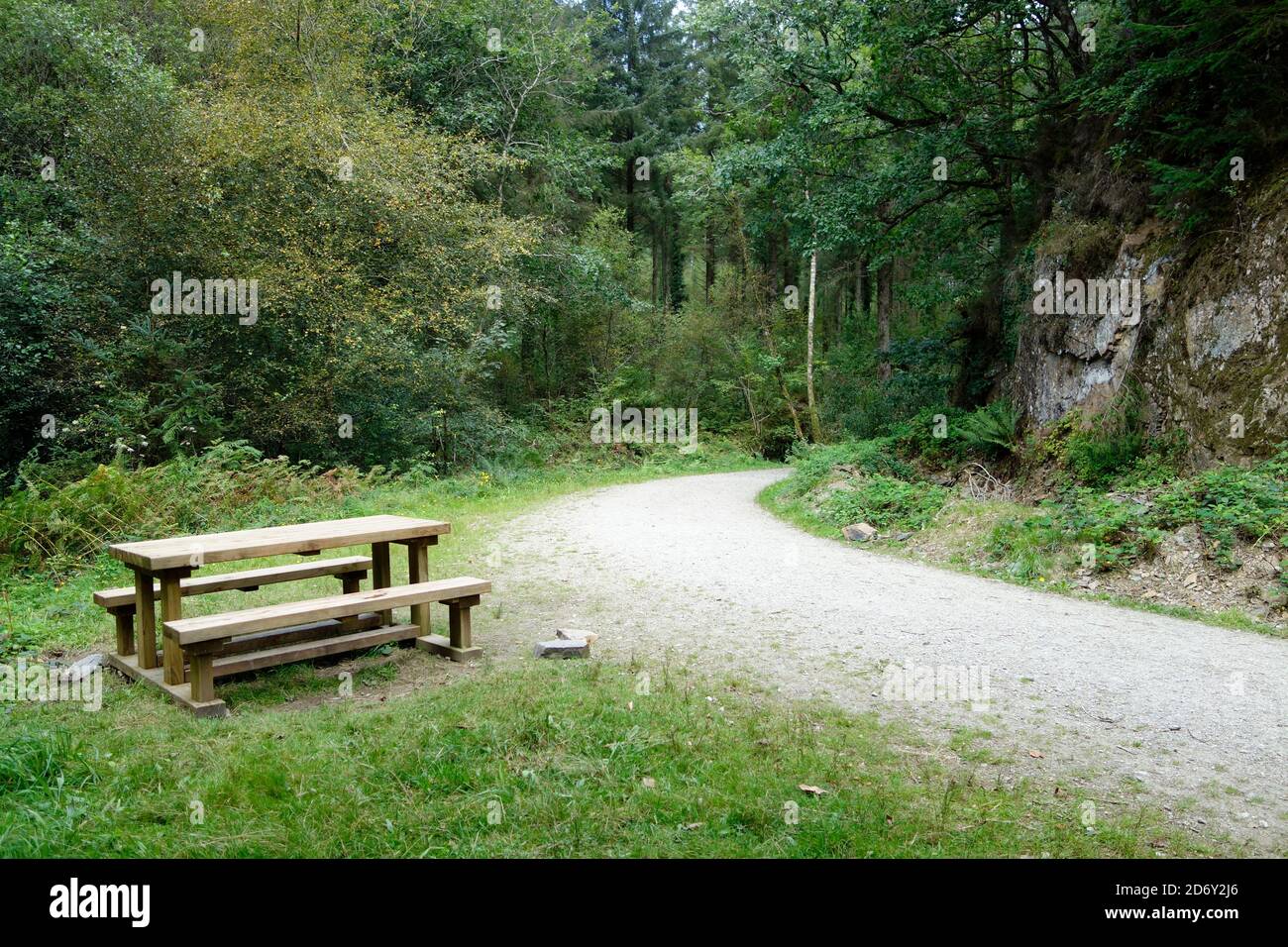 Cardinham Woods, Cornovaglia, Inghilterra, Regno Unito nel mese di settembre Foto Stock