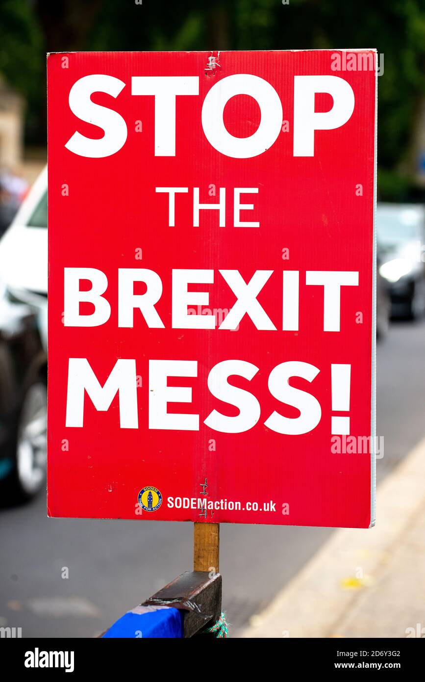 Poster della campagna anti-Brexit utilizzato dai manifestanti al di fuori della Camera del Parlamento, Londra, per protestare contro l’uscita del Regno Unito dall’Unione europea. Foto Stock