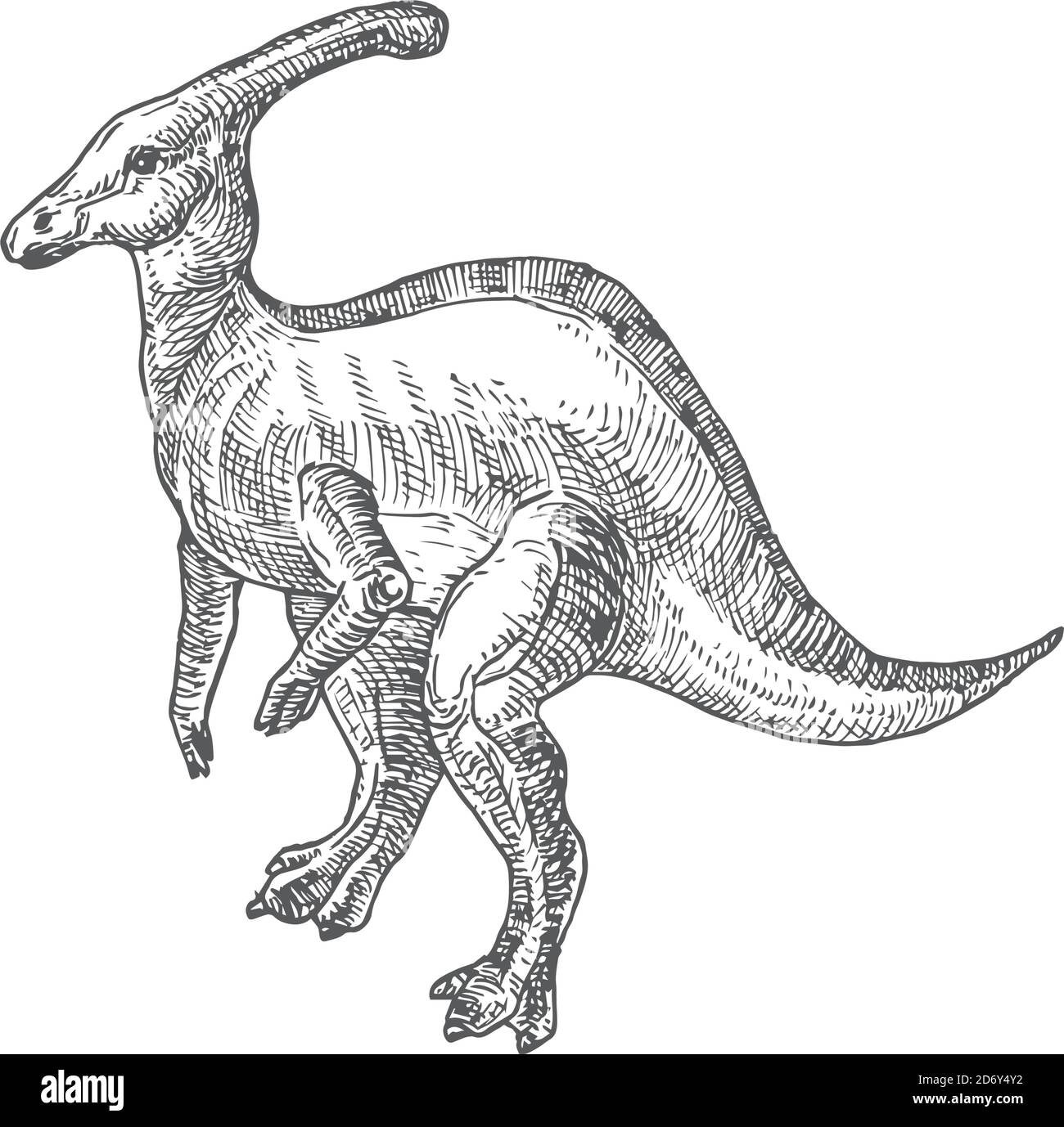 Illustrazione vettoriale preistorica di Dinosaur Doodle. Disegno di stile di incisione del rettile di Parasaurolofo disegnato a mano Immagine e Vettoriale - Alamy