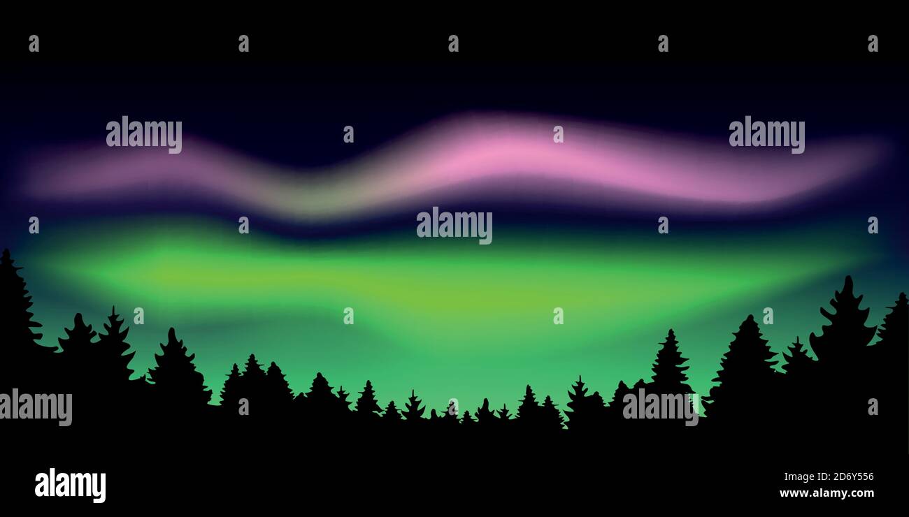 aurora borealis belle luci polari nella foresta vettore illustrazione EPS10 Illustrazione Vettoriale