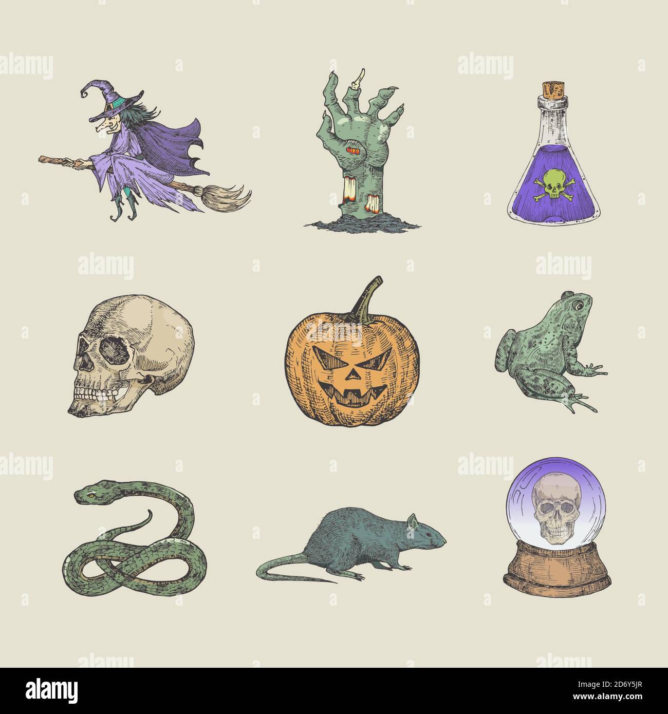 Collezione di illustrazioni Halloween in stile retrò. Strega disegnata a mano su scoma, braccio di zombie, scultura, sfera magica e rettili simboli di schizzo o insieme di icone Illustrazione Vettoriale