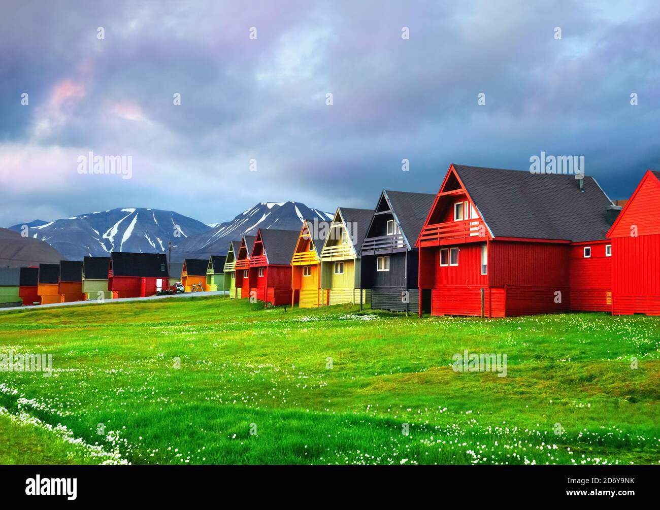 Case colorate e campo verde con fiori artici sullo sfondo di cielo e montagna a Longyearbyen, Svalbard, Spitsbergen Foto Stock