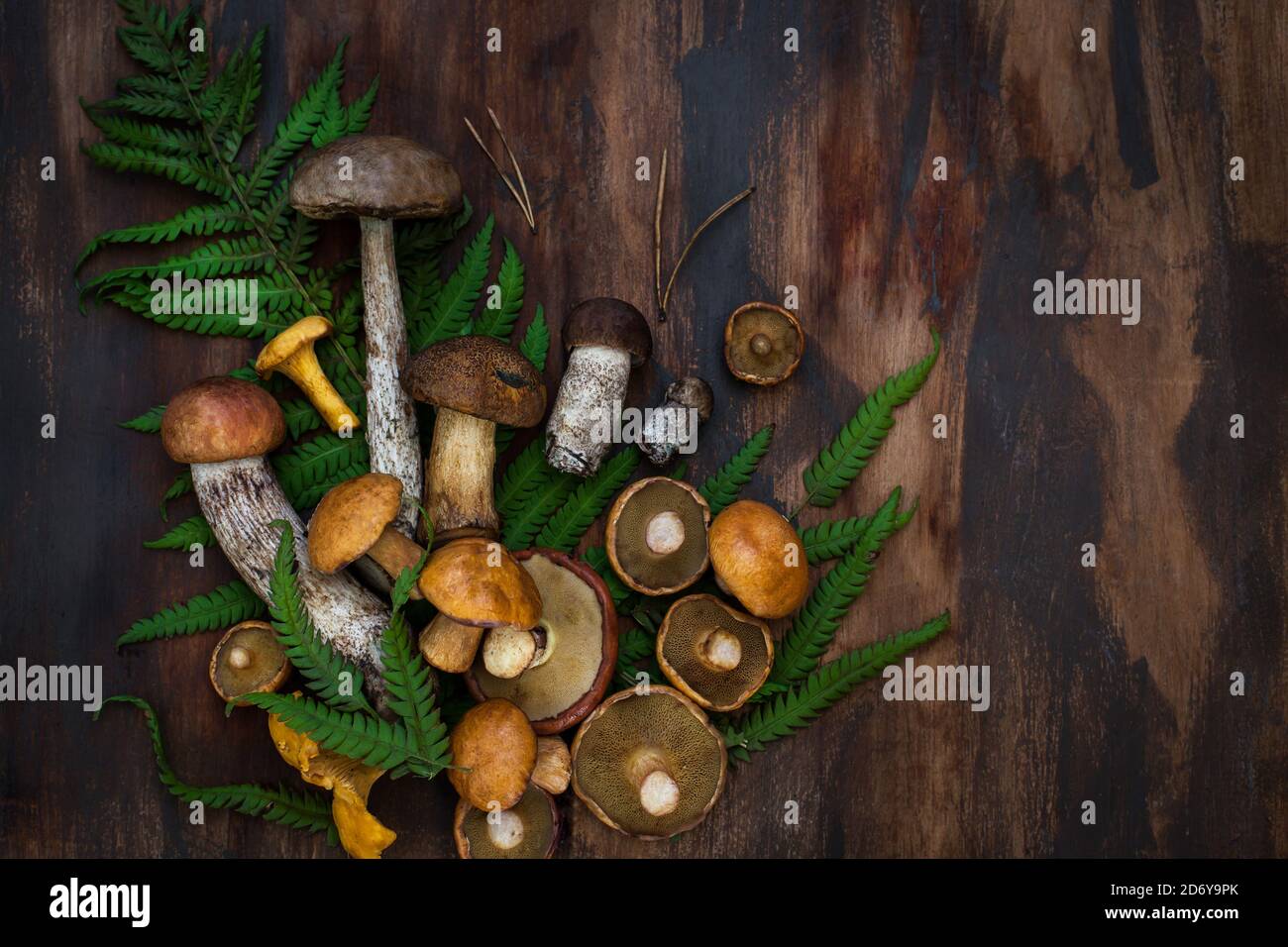 Funghi selvatici freschi non cotti su rustico sfondo di legno, copia spazio Foto Stock