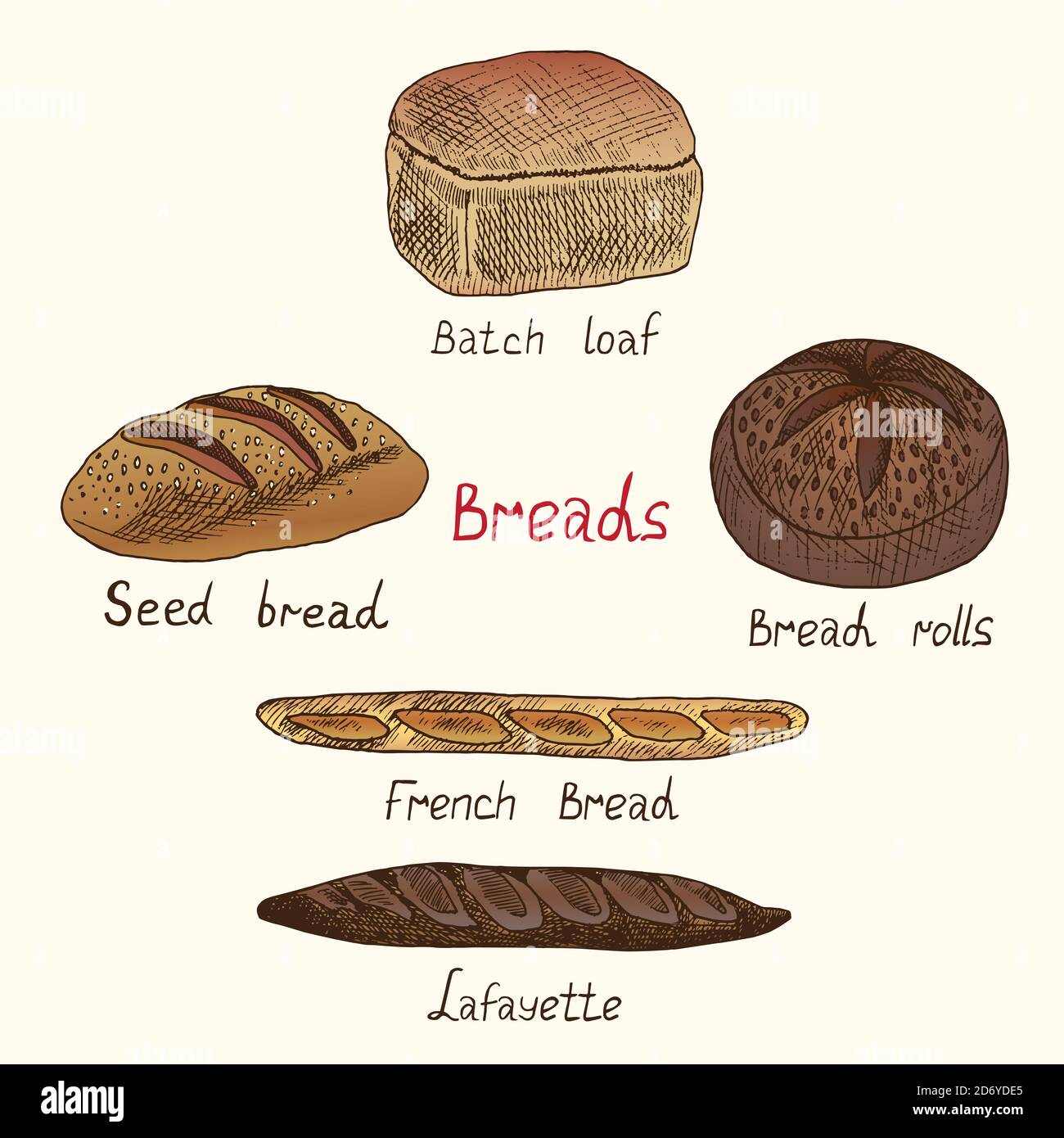 Varietà di pane Set: Pane batch, semi, panini, pane francese e lafayette,  doodle disegnati a mano, disegno, illustrazione del colore con iscrizione  Foto stock - Alamy