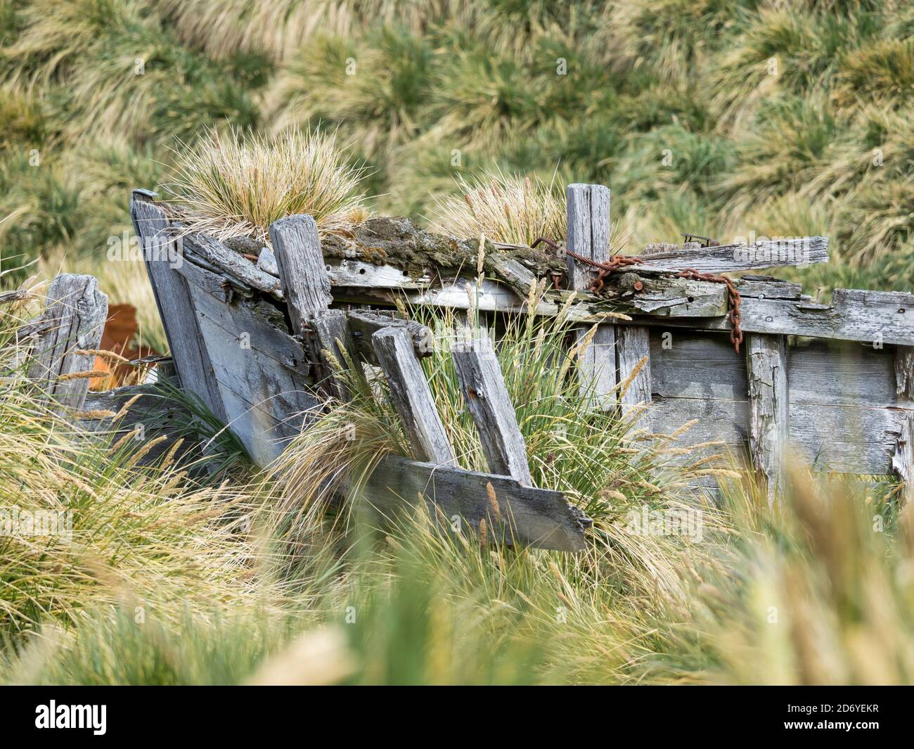 Relitti di navi nelle rovine della stazione di caccia Gothul nel sud della Georgia. Antartide, Subantartica, Georgia del Sud, ottobre Foto Stock