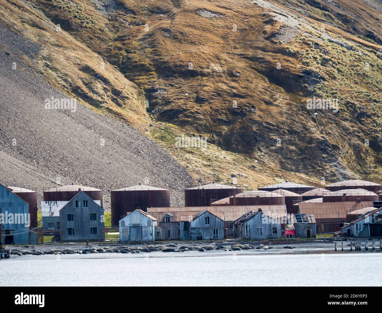 Rovine di Stromness Whaling Station in Georgia del Sud Antartide, Susantartica, Georgia del Sud, ottobre Foto Stock