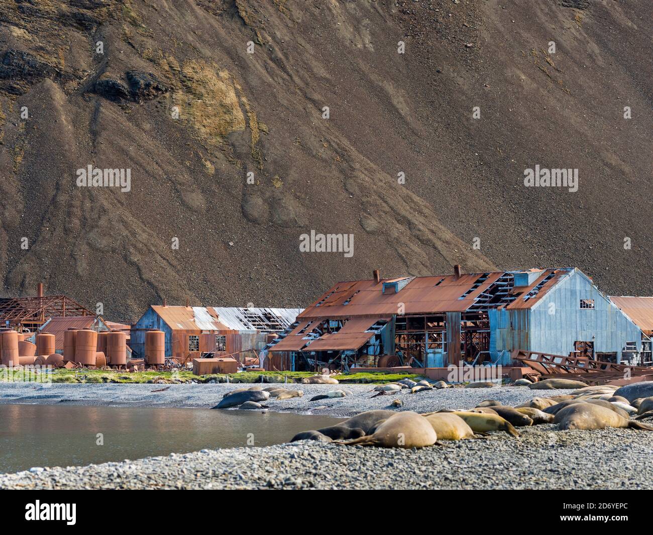 Rovine di Stromness Whaling Station in Georgia del Sud Antartide, Susantartica, Georgia del Sud, ottobre Foto Stock