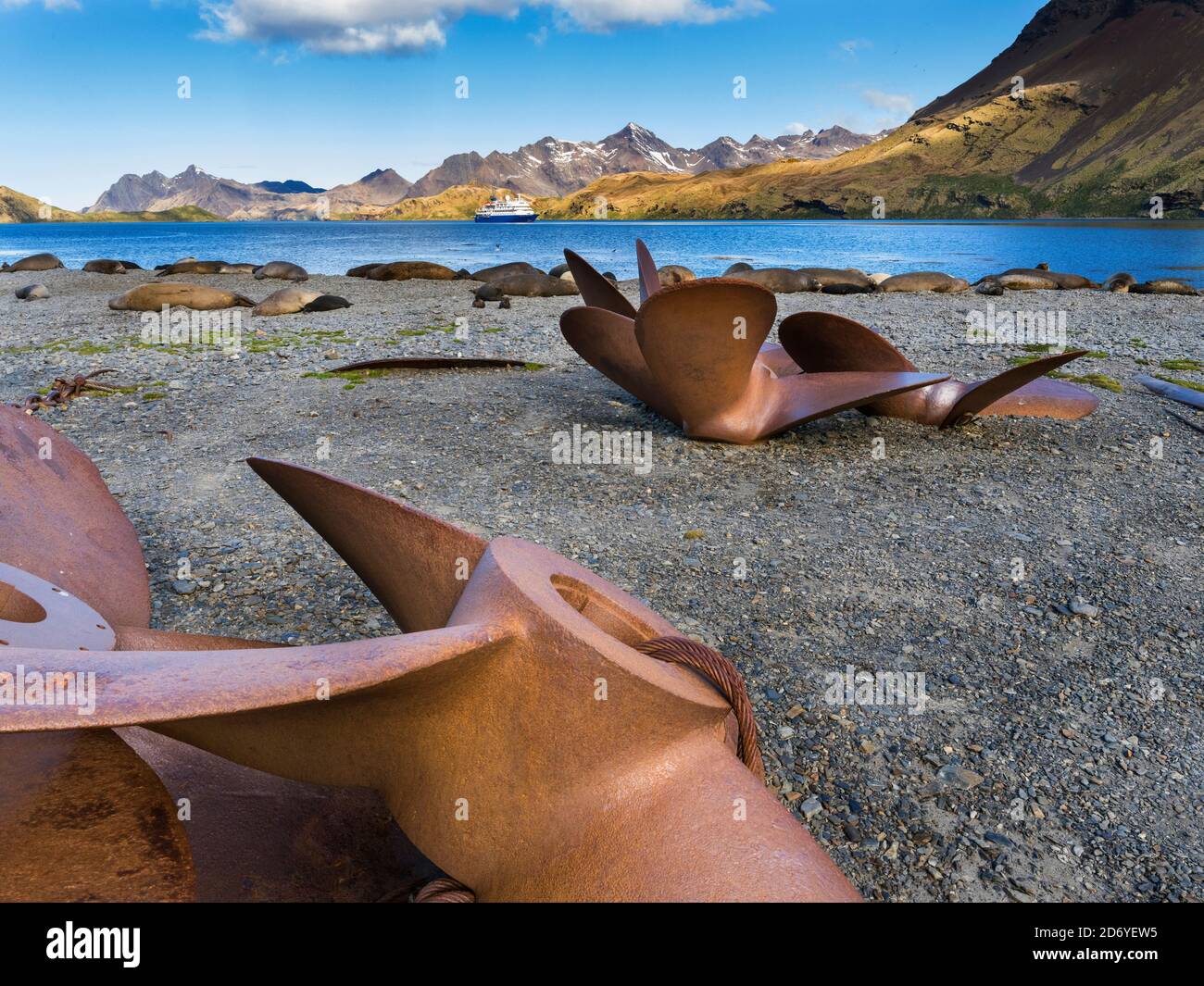 Rovine di Stromness Whaling Station in Georgia del Sud Antartide, Susantartica, Georgia del Sud, ottobre Foto Stock