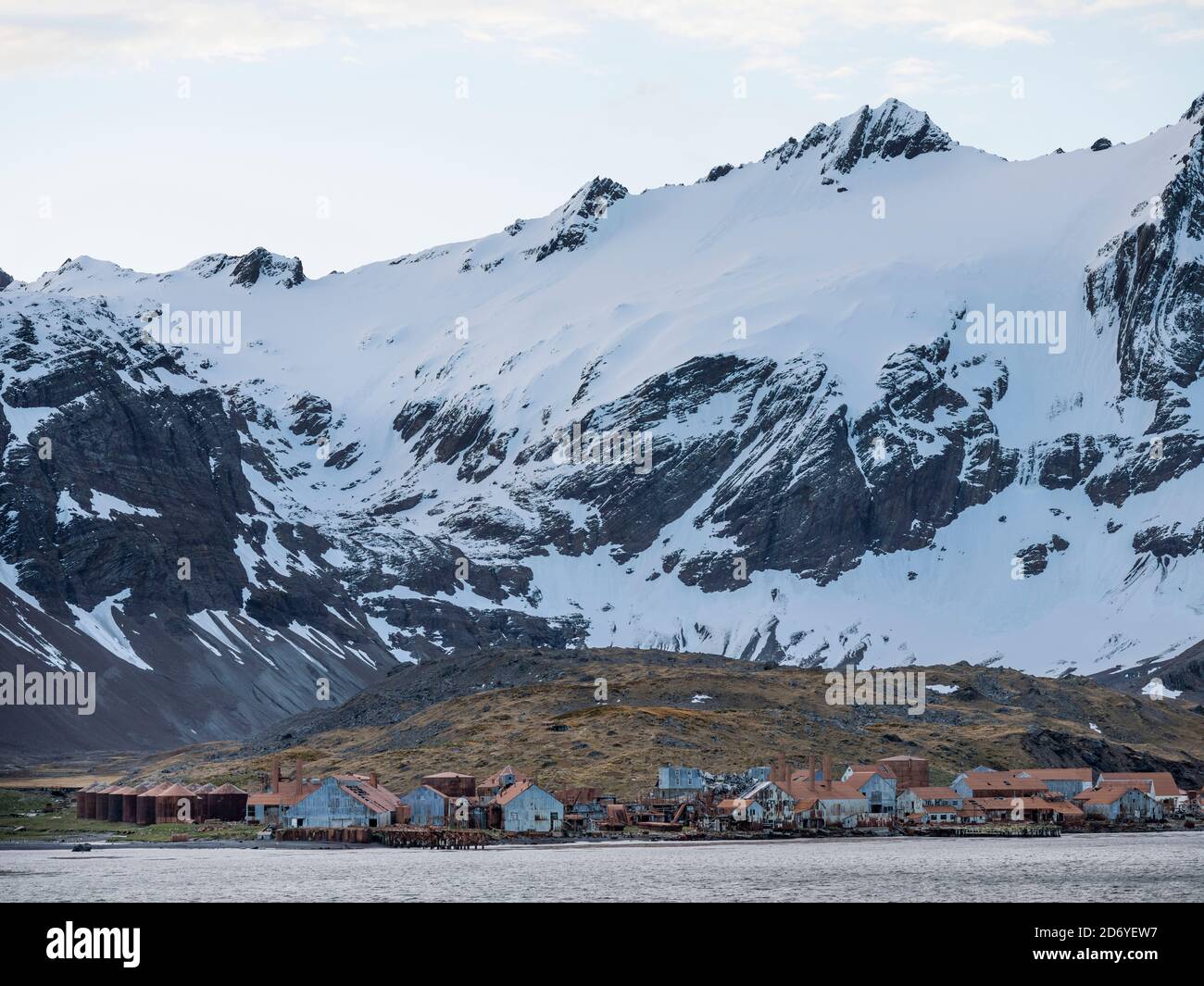 Rovine di Leith Harbour, la più grande stazione di caccia alla balena della Georgia del Sud, Antartide, Subantartica, Georgia del Sud, ottobre Foto Stock