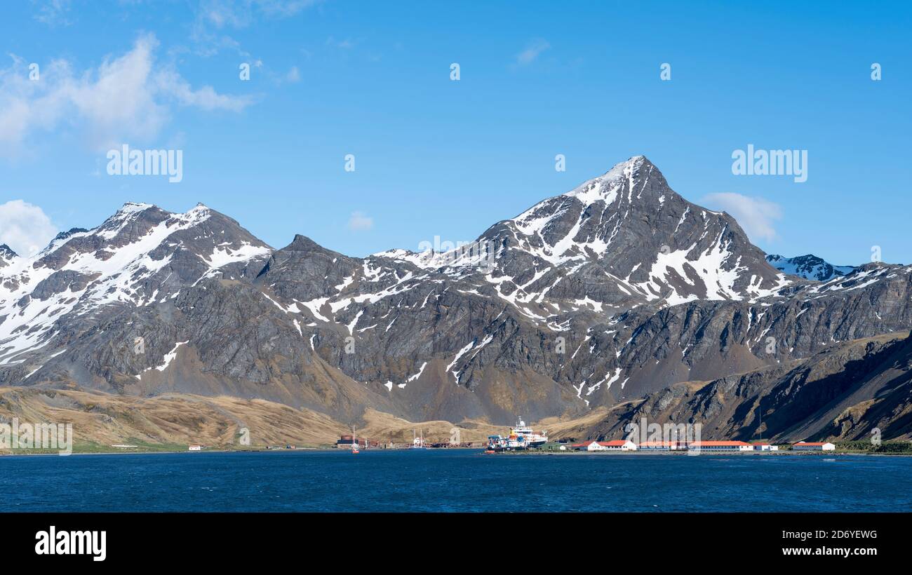 Grytviken e King Edward Point. King Edward Point il centro amministrativo della Georgia del Sud, Grytviken una vecchia stazione di balene. Antartide, Subanta Foto Stock