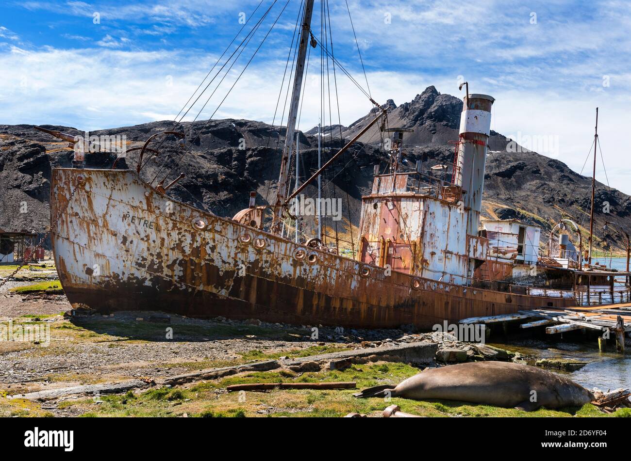 Il Petrel un catcher di balene. Stazione di balene di Grytviken nella Georgia del Sud. Grytviken è aperto ai visitatori, ma la maggior parte delle pareti e tetti della fabbrica lo sono Foto Stock