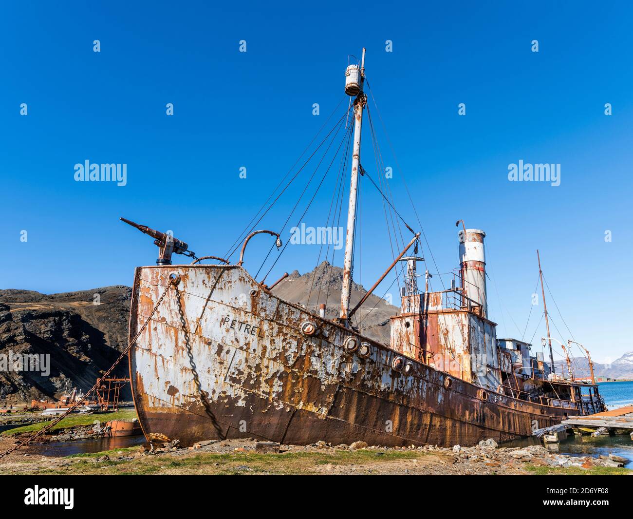 Il Petrel un catcher di balene. Stazione di balene di Grytviken nella Georgia del Sud. Grytviken è aperto ai visitatori, ma la maggior parte delle pareti e tetti della fabbrica lo sono Foto Stock