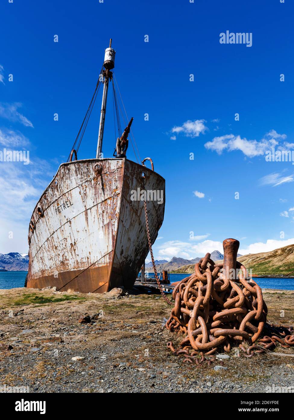 Il Petrel un catcher di balene. Stazione di balene di Grytviken nella Georgia del Sud. Grytviken è aperto ai visitatori, ma la maggior parte delle pareti e tetti della fabbrica lo sono Foto Stock
