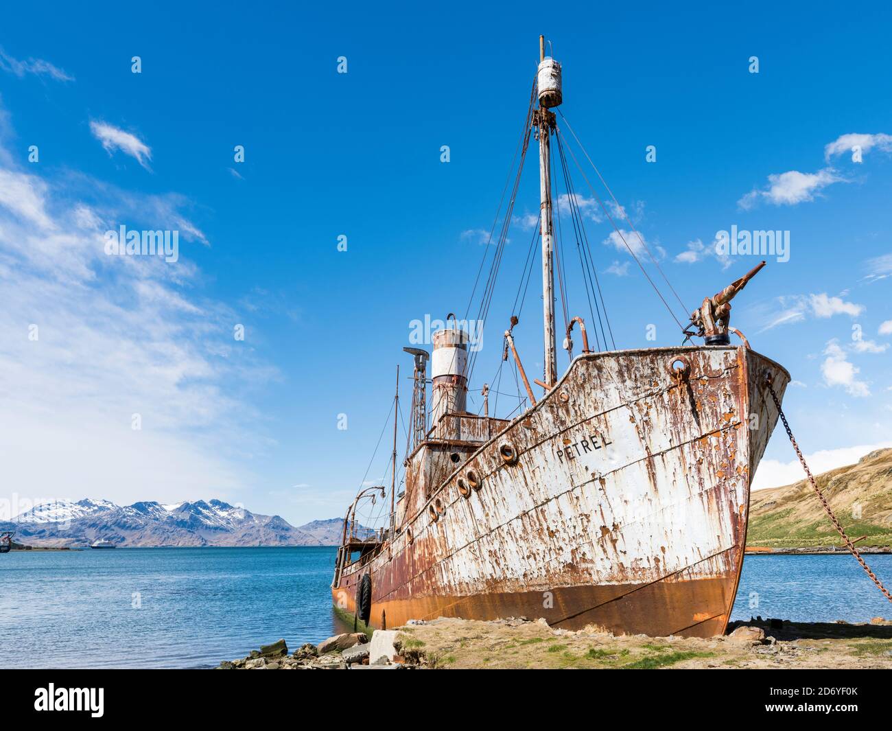 Il Petrel un catcher di balene. Stazione di balene di Grytviken nella Georgia del Sud. Grytviken è aperto ai visitatori, ma la maggior parte delle pareti e tetti della fabbrica lo sono Foto Stock