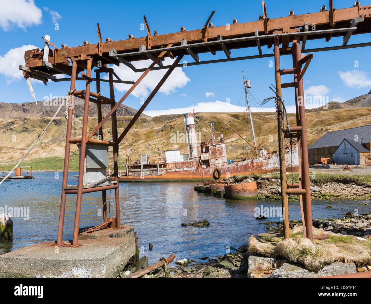 Il Petrel un catcher di balene. Stazione di balene di Grytviken nella Georgia del Sud. Grytviken è aperto ai visitatori, ma la maggior parte delle pareti e tetti della fabbrica lo sono Foto Stock