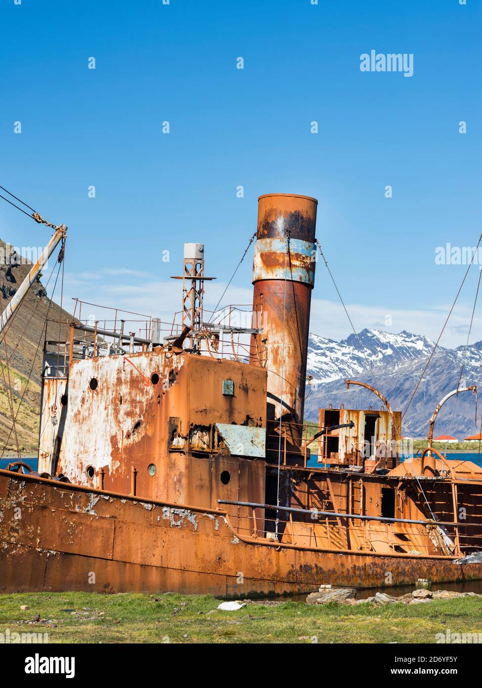 Relitto dei Dias a Grytviken. Stazione di balene di Grytviken nella Georgia del Sud. Grytviken è aperto ai visitatori, ma la maggior parte delle pareti e tetti della fabbrica ha Foto Stock