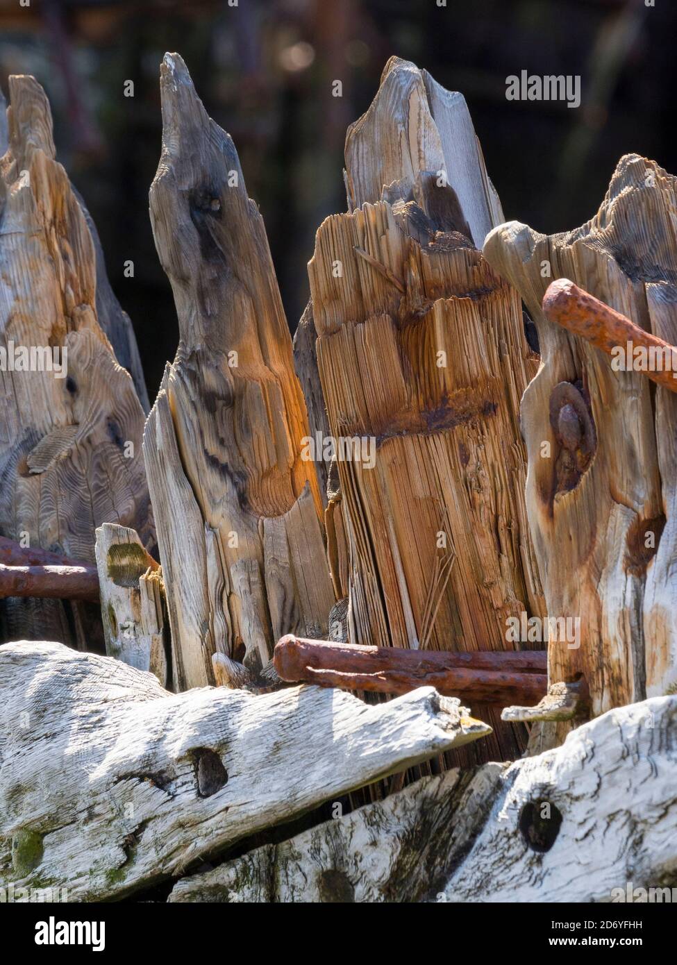 Tavole di legno della Louise bruciata, stazione di balene Grytviken in Georgia del Sud. Grytviken è aperto ai visitatori, ma la maggior parte delle pareti e tetti del fac Foto Stock