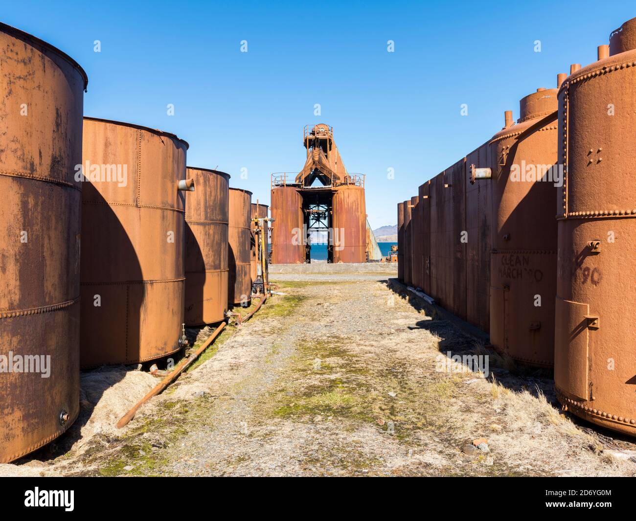 L'ex biscotto di Blobber. Stazione di balene di Grytviken nella Georgia del Sud. Grytviken è aperto ai visitatori, ma la maggior parte delle pareti e tetti della fabbrica hanno b Foto Stock