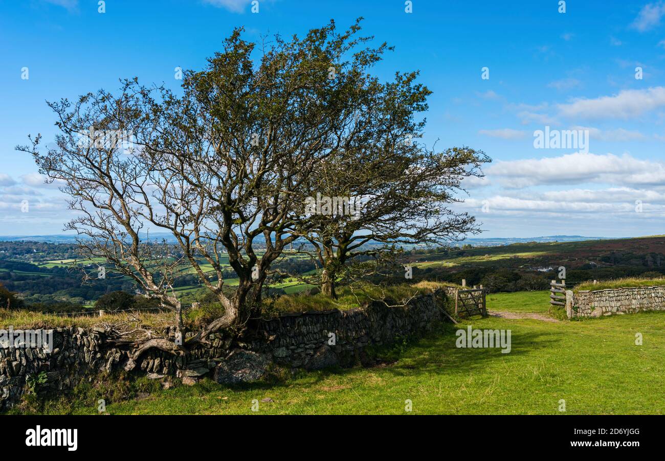 Burrator Reservoir nel Dartmoor National Park nel Devon in Inghilterra In Europa Foto Stock