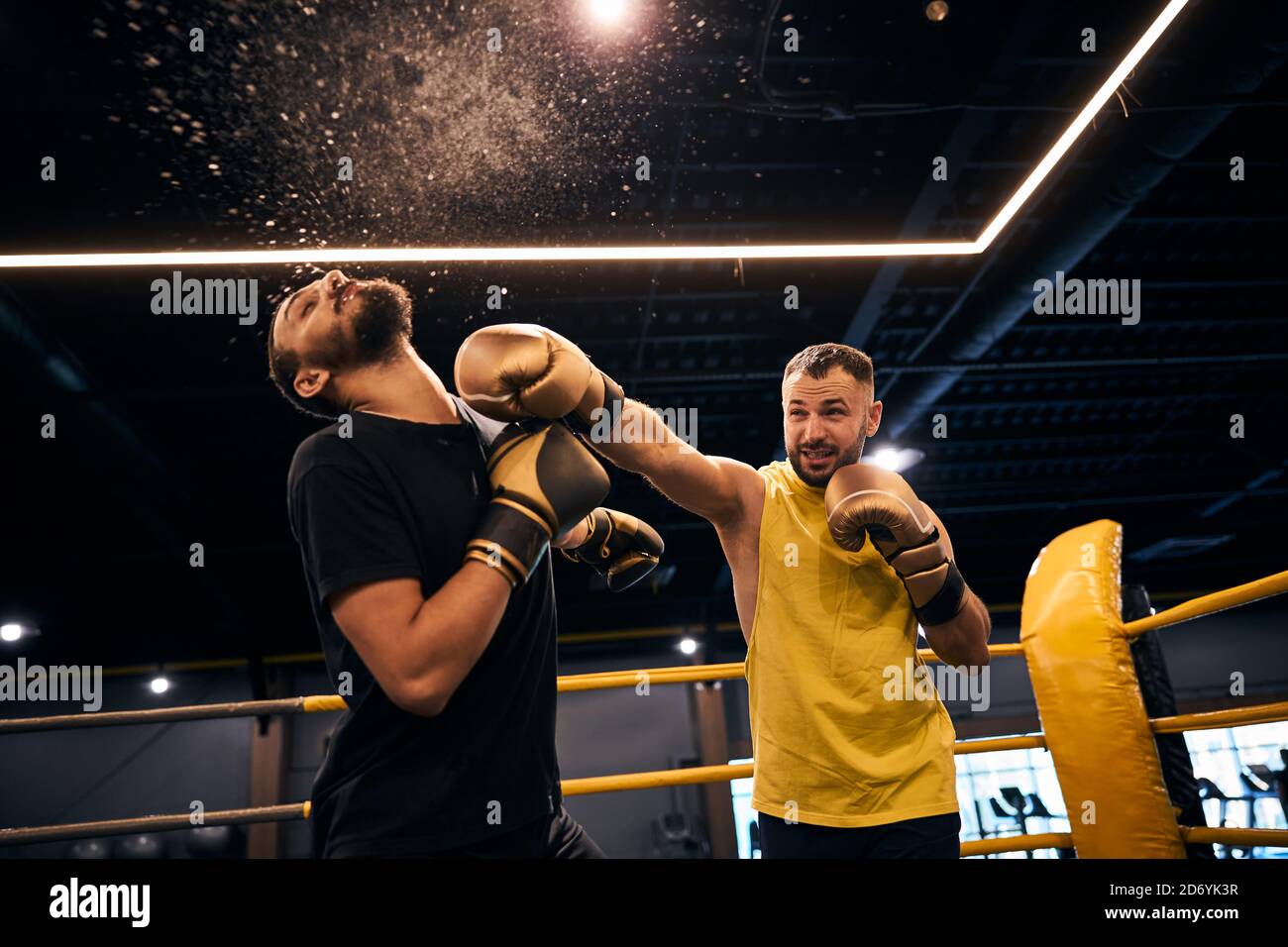 Campione di pugilato che ha fatto un colpo di testa Foto Stock