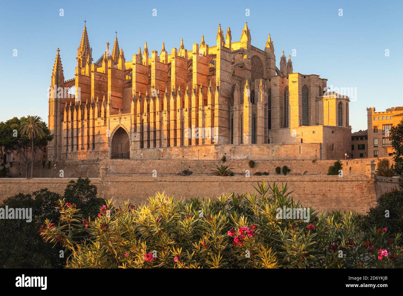 Cattedrale di Palma al sole d'oro con fogliame in primo piano, Palma, Maiorca, Spagna. Foto Stock
